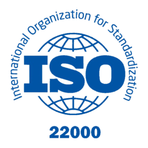 Logo 4